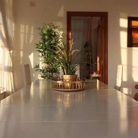 Siete Playas Surf House